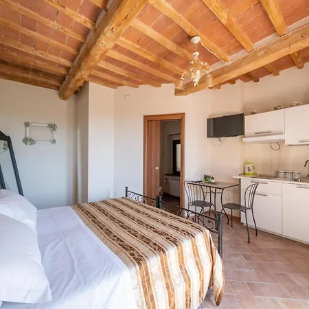 Casa de hóspedes Il Leoncino Palaia